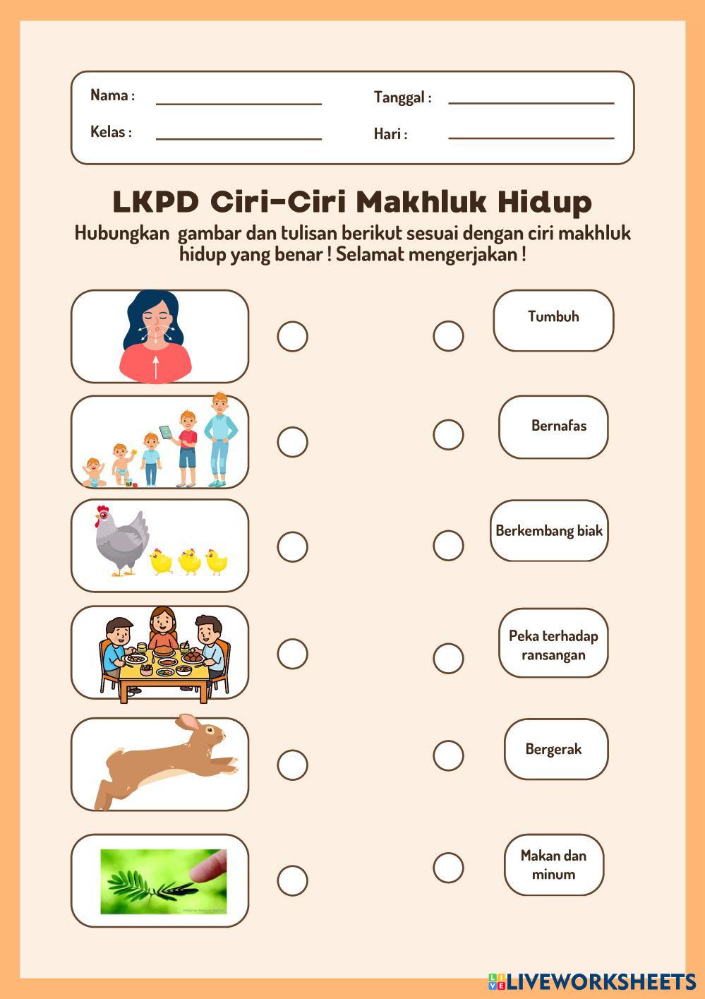 LKPD CIRI-CIRI Free Interactive Worksheets 7561070