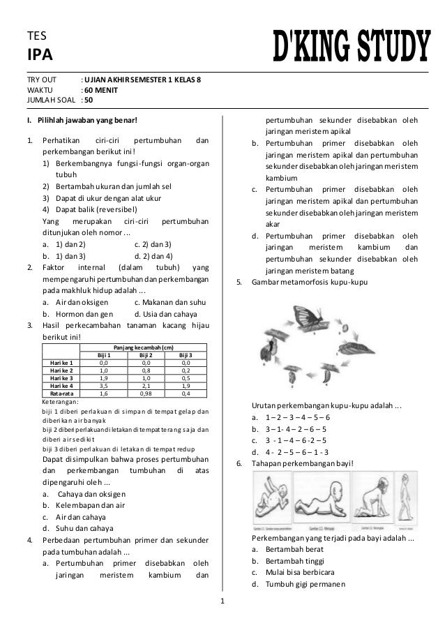 Contoh Soal Ipa Kelas 8 Dalchaebi