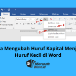 5 Cara Mengecilkan Huruf Kapital di Word Ternyata Semudah Ini