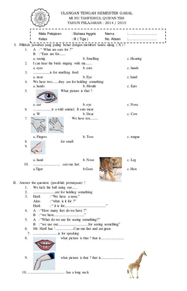 Latihan Seru Contoh Soal Bahasa Inggris My Computer Kelas 3 SD Agar Anak Cepat Pintar