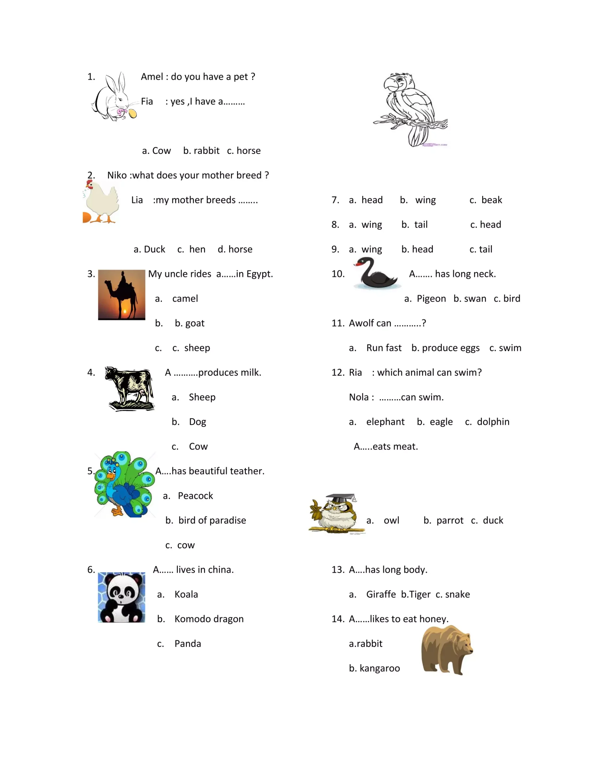 Wajib Tahu! Ini Contoh Soal Bahasa Inggris Kelas 3 Tentang Animals Beserta Jawabannya Wajib Tahu! Ini Contoh Soal Bahasa Inggris Kelas 3 Tentang Animals Beserta Jawabannya